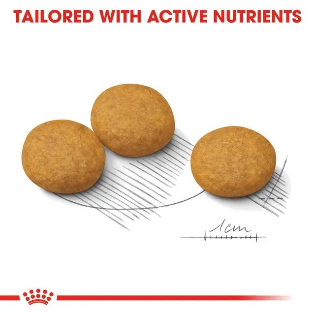 Royal Canin Medium Dermacomfort Dry Dog Food - Pet Supply